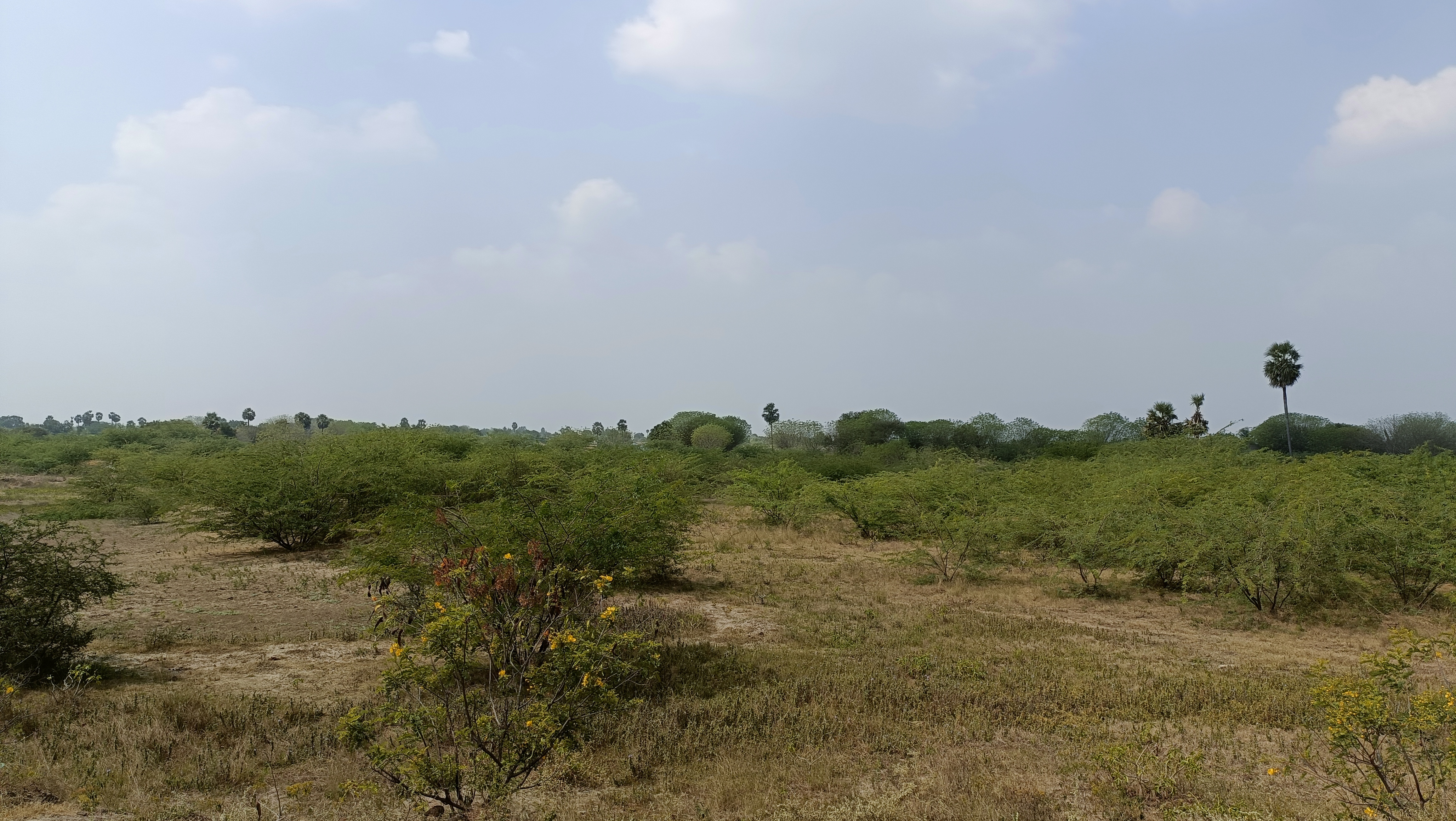 IMG20230120121835.jpg